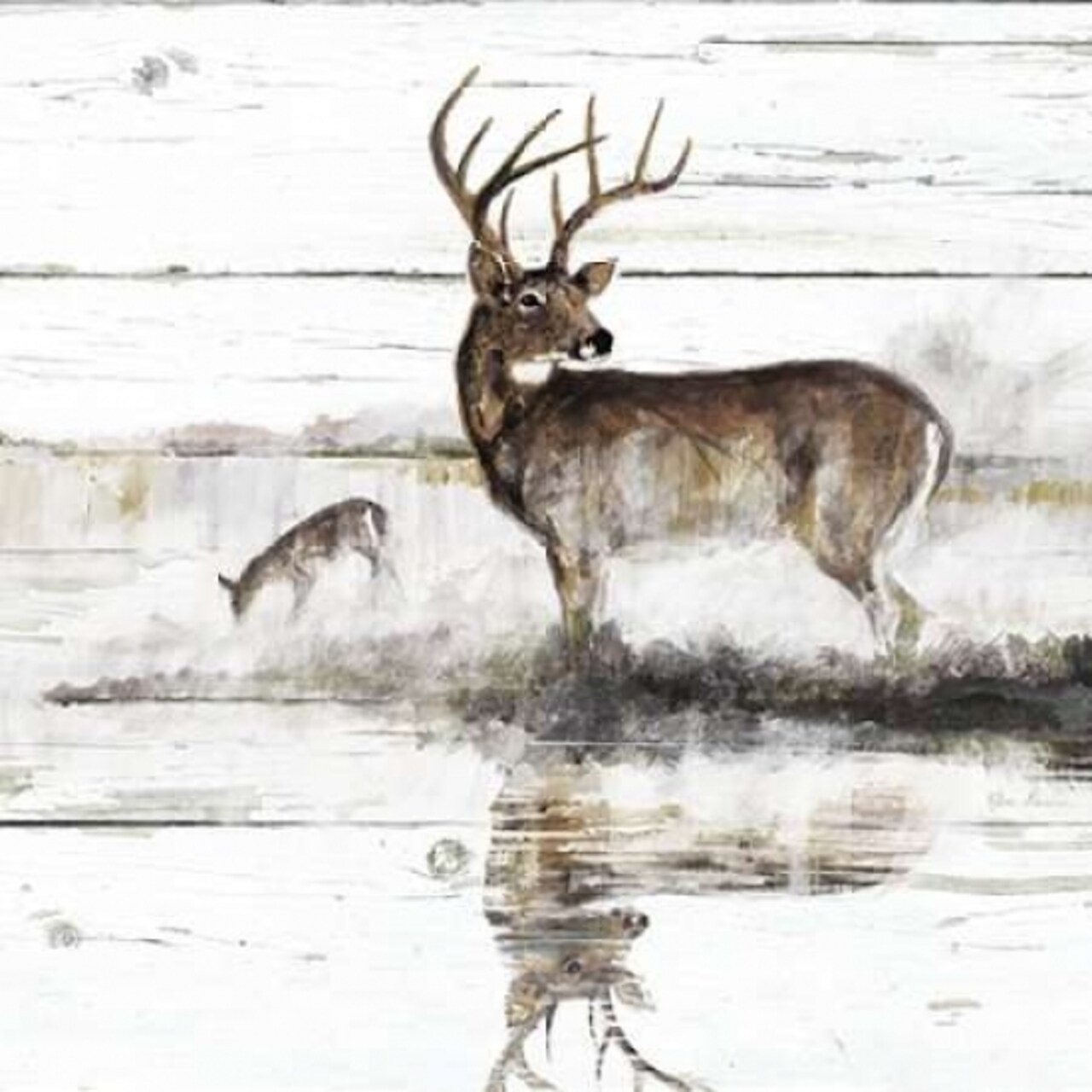 Rustic Misty Deer Poster Print by Ruane Manning - Item # VARPDX17801